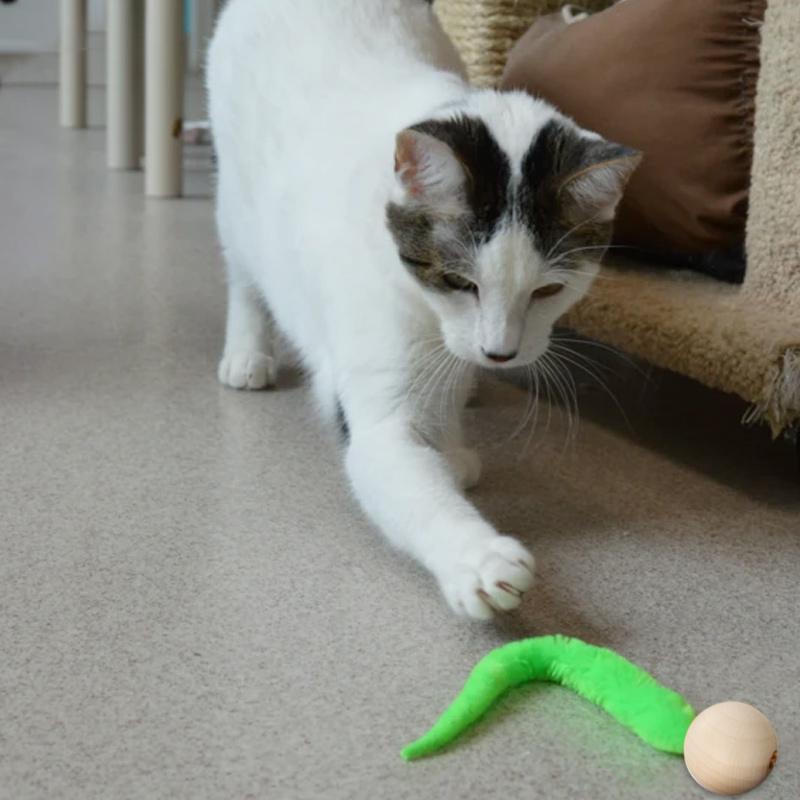 Wackeliges Katzenspielzeug mit Glocken